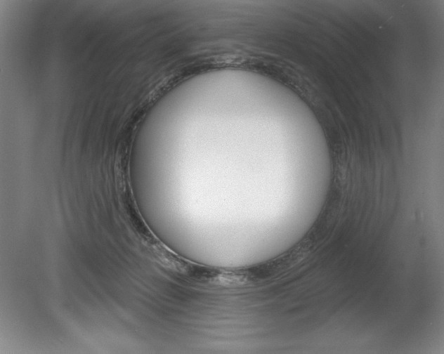 X0000078830270200611130939