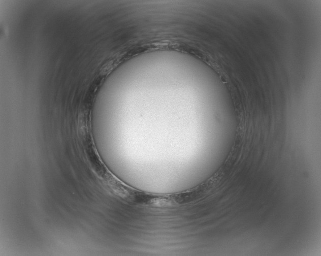 X0000078830272200611130939