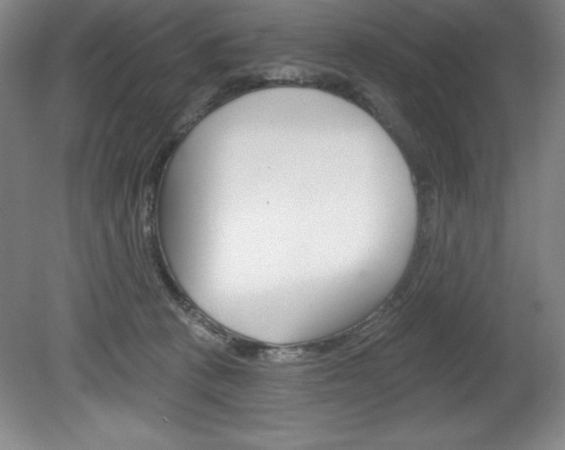 X0000078830273200611130939
