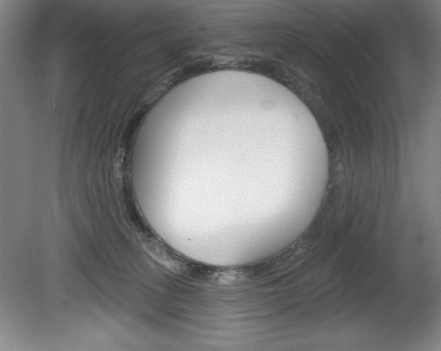 X0000078830275200611130940