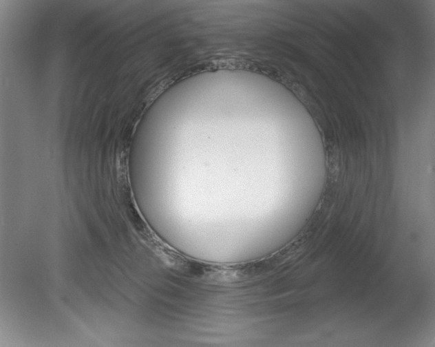 X0000078830276200611130940
