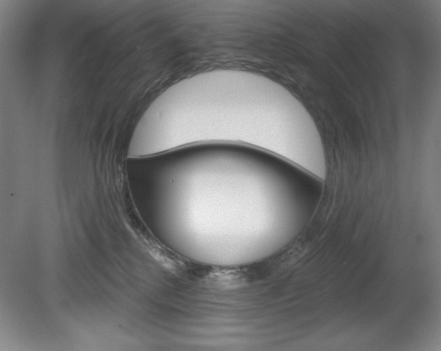 X0000078830280200611130940