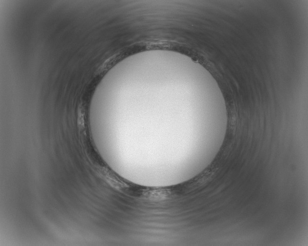 X0000078830282200611130940