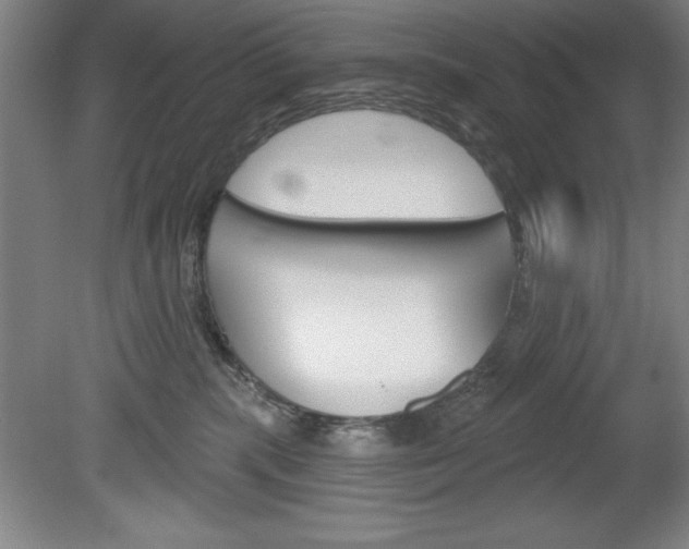 X0000078830283200611130940