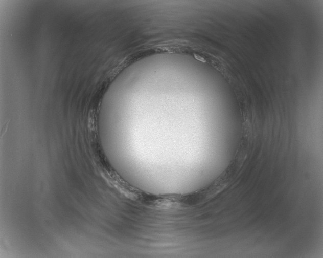 X0000078830284200611130940
