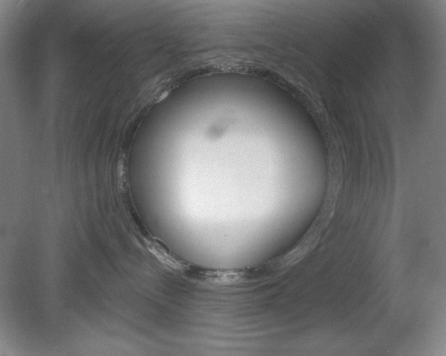 X0000078830288200611130940