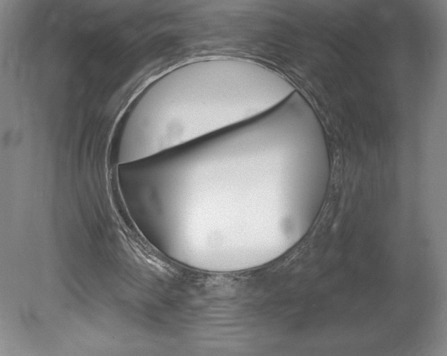 X0000078830290200611130939