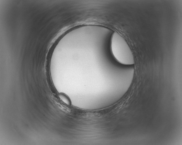 X0000078830292200611130939