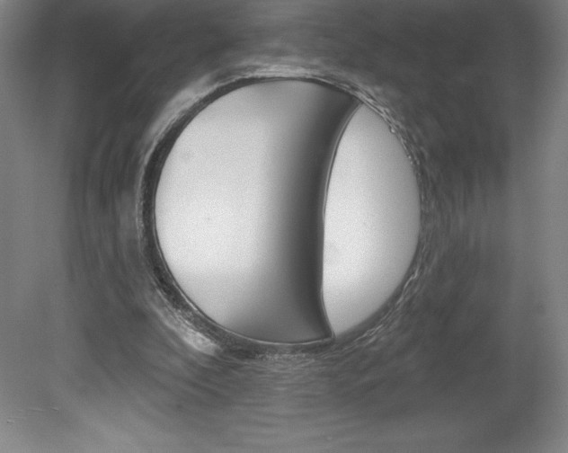 X0000078830296200611130939