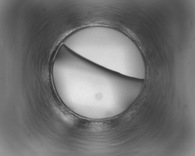 X0000078830298200611130939