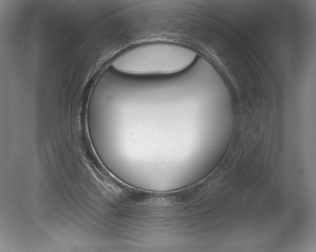 X0000078830299200611130939