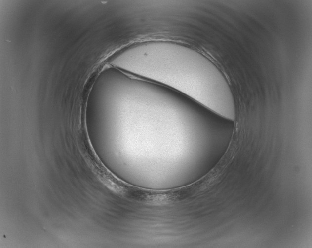 X0000078830301200611130939