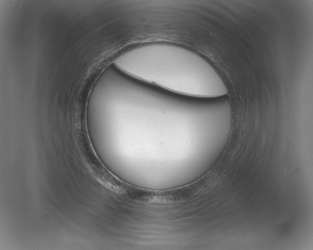 X0000078830303200611130939