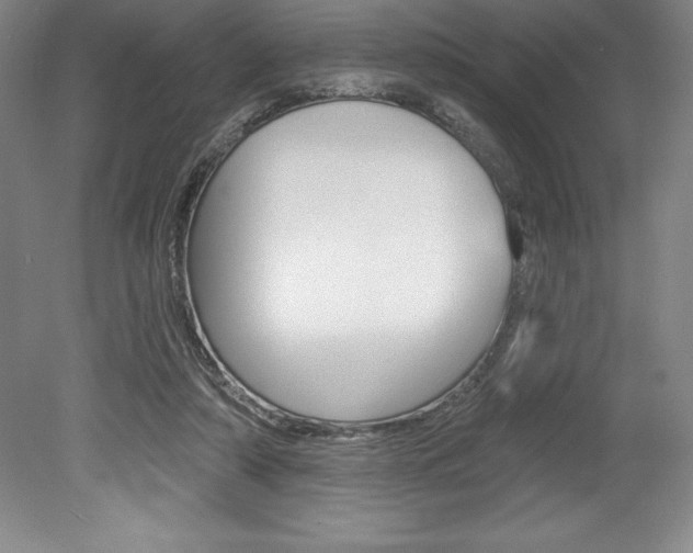 X0000078830306200611130939