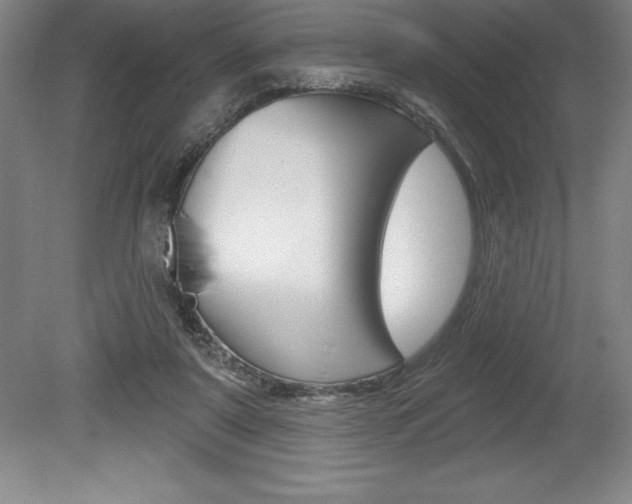 X0000078830307200611130939