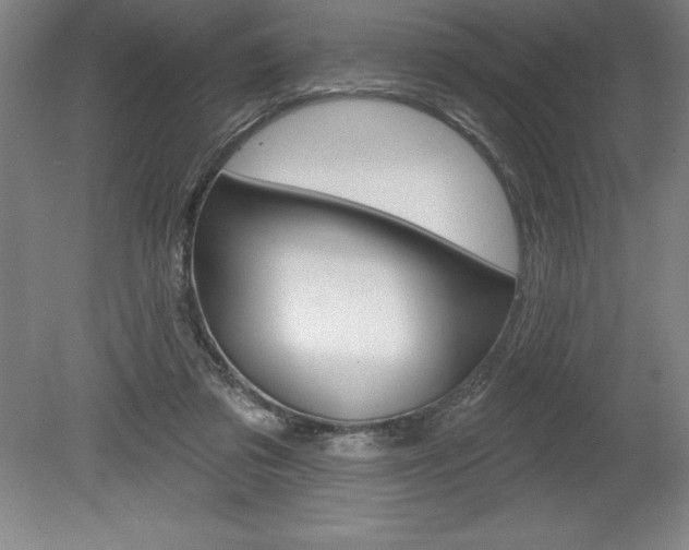 X0000078830309200611130939