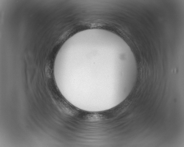 X0000078830316200611130938
