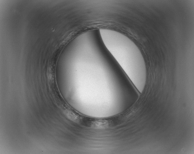 X0000078830317200611130938