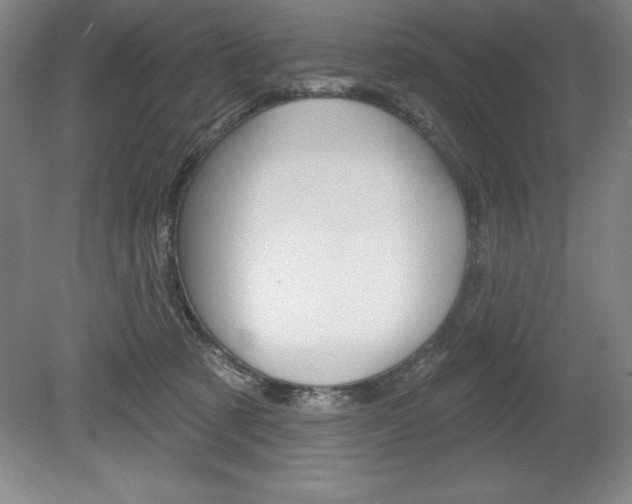 X0000078830321200611130938