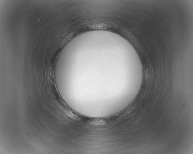 X0000078830322200611130938