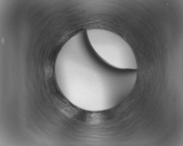 X0000078830324200611130938