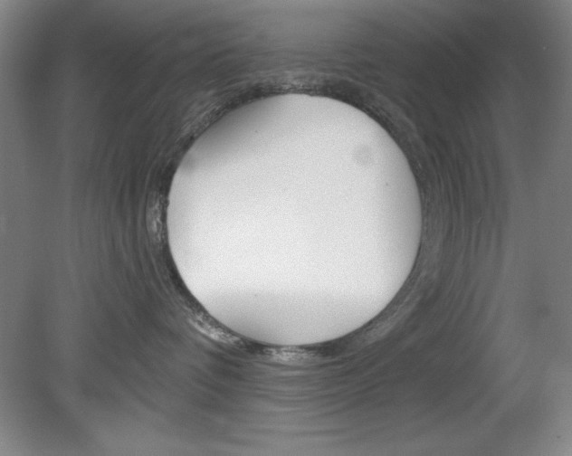 X0000078830336200611130938