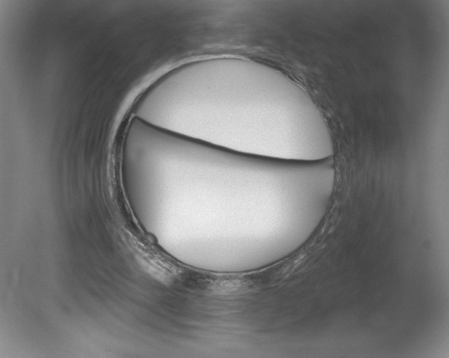 X0000078830342200611130937