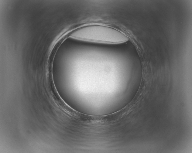 X0000078830344200611130937