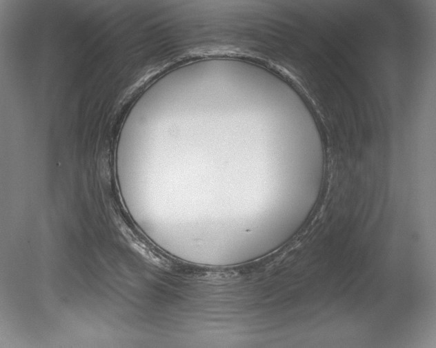X0000078830345200611130937