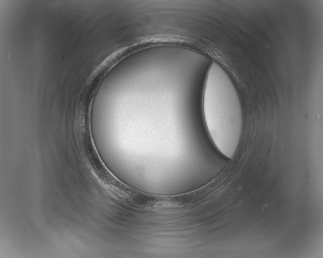 X0000078830348200611130938