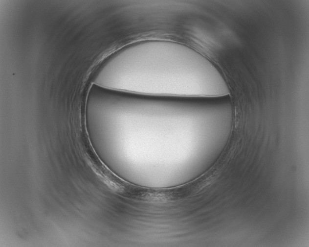 X0000078830349200611130938