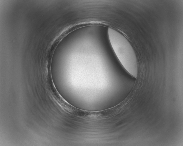 X0000078830350200611130938