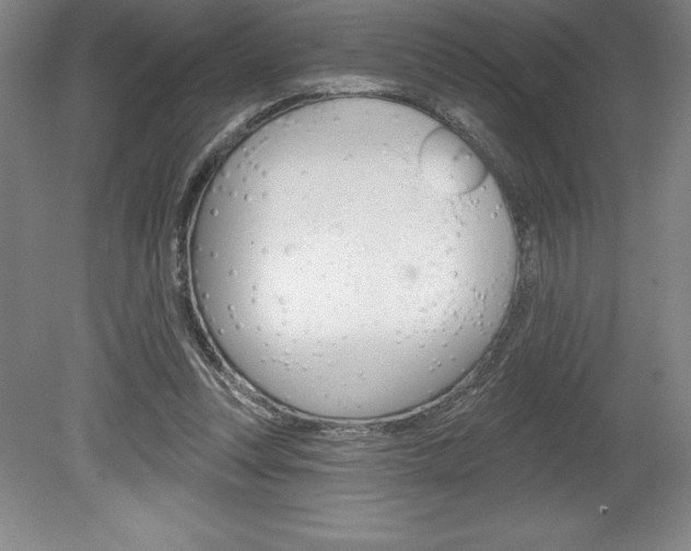 X0000078830351200611130938