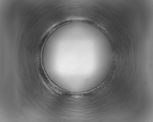 X0000078830352200611130938