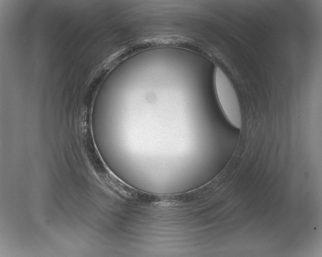 X0000078830356200611130938