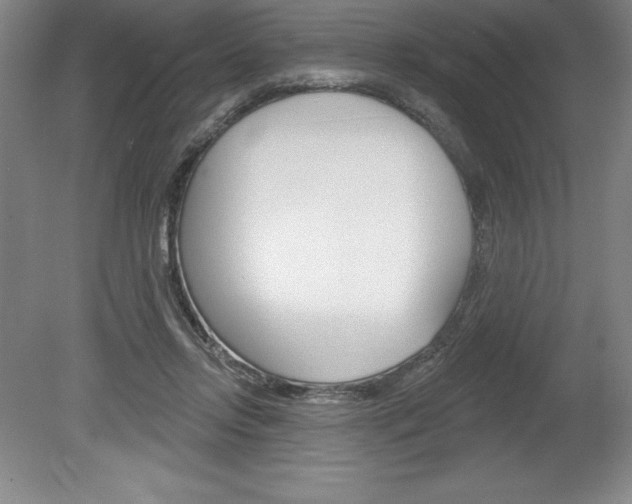 X0000078830358200611130938