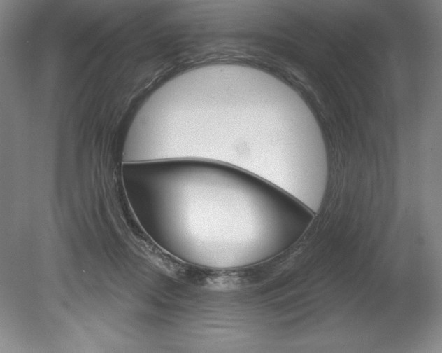 X0000078830362200611130938