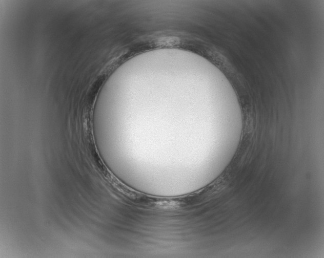 X0000078830363200611130938
