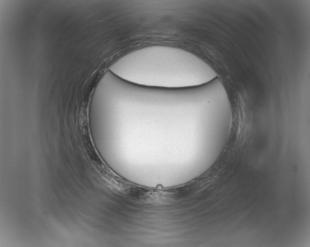 X0000078830367200611130938