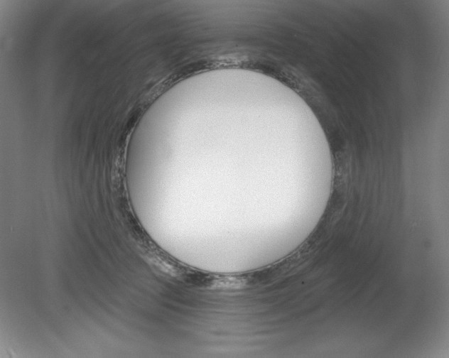 X0000078830369200611130938