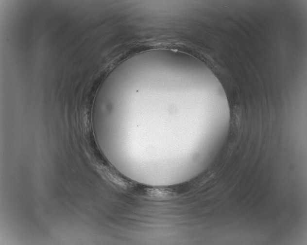 X0000078830380200611130938