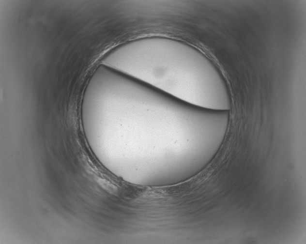 X0000078830386200611130937