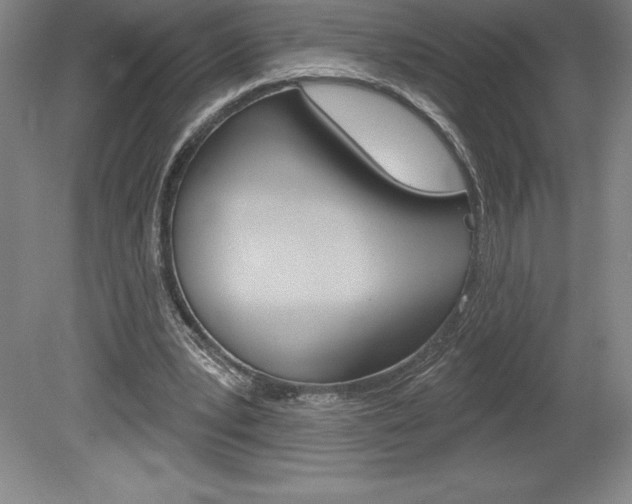 X0000078830391200611130937