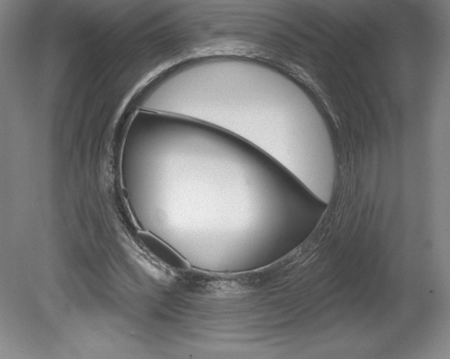 X0000078830392200611130937