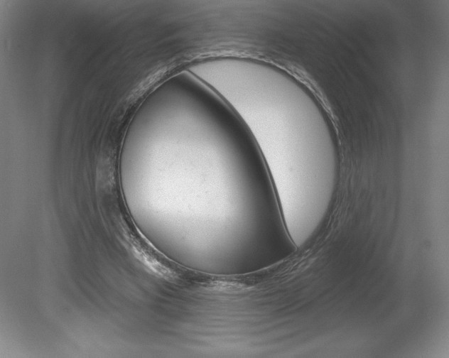X0000078830393200611130937
