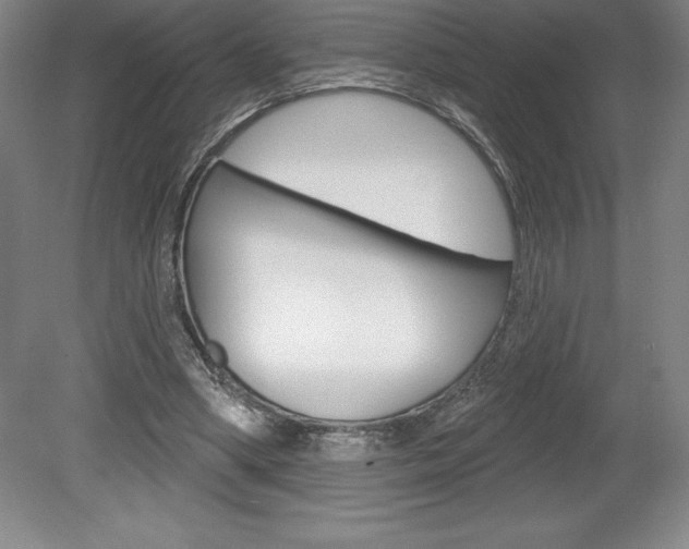 X0000078830394200611130937