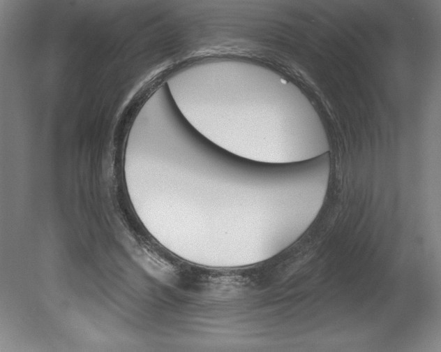 X0000078830396200611130937