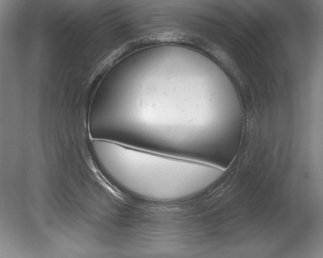 X0000078830397200611130937