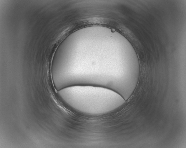 X0000078830398200611130937