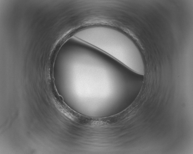 X0000078830399200611130937